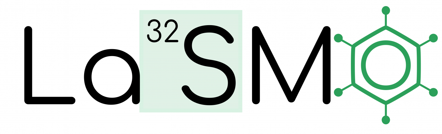 Logo of LaSMO group